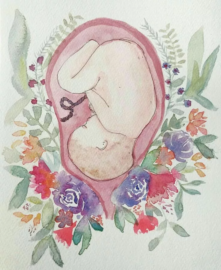 illustration d'un bébé in-utéro entouré de fleurs